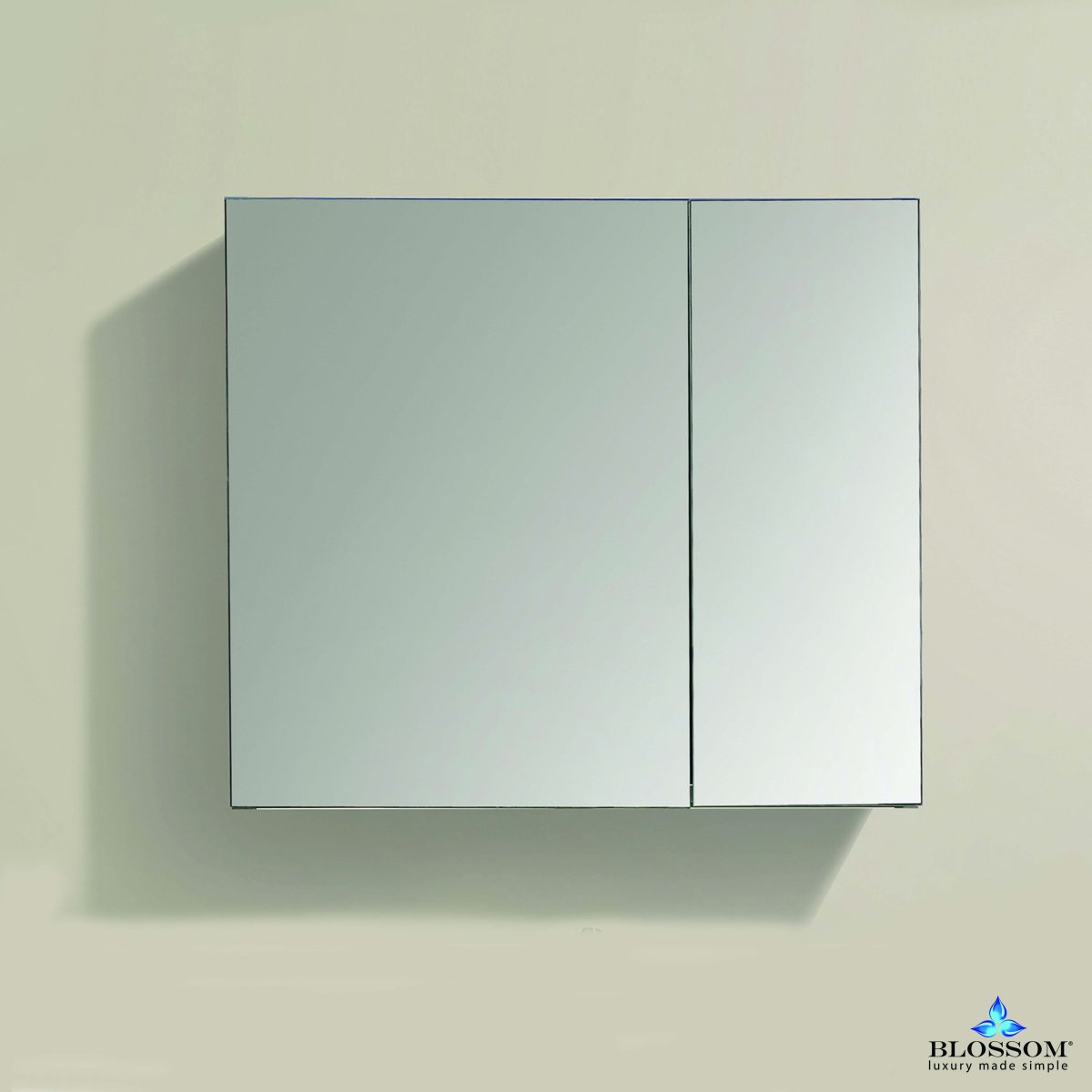 Aluminum Medicine Cabinet with Mirror